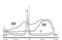 孕早期可以吃烤生蚝吗